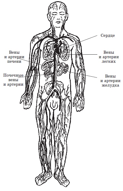 [i_001.jpg]