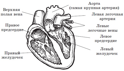 [i_002.jpg]