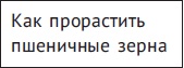 [i_030.jpg]